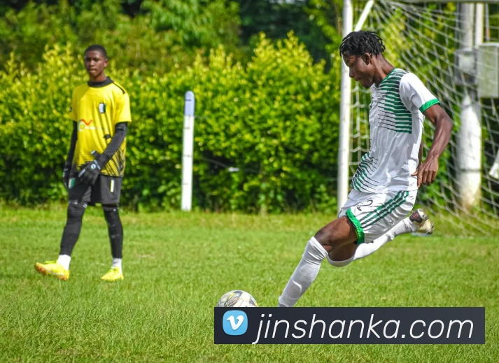 App Interface Preview